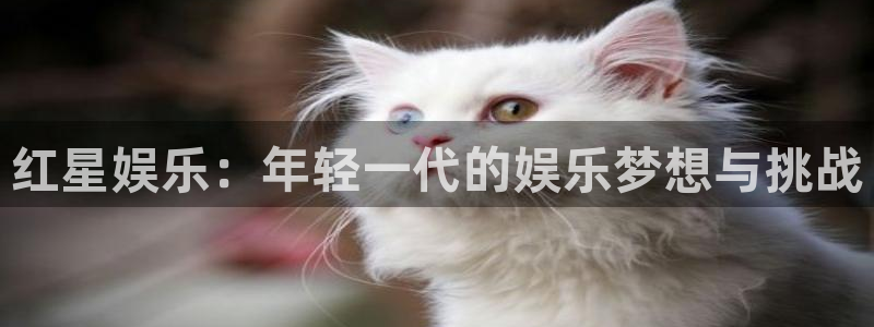 安信12登录入口官网