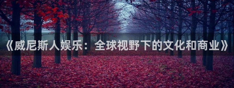 安信12最新版本更新内容