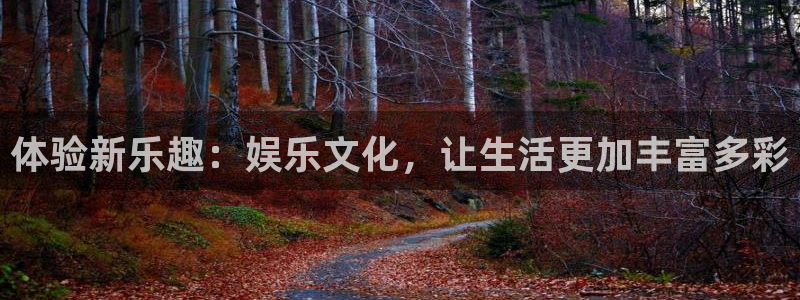 安信12注册