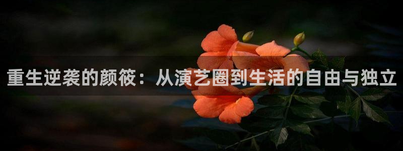 安信12登录入口最新版本更新内容